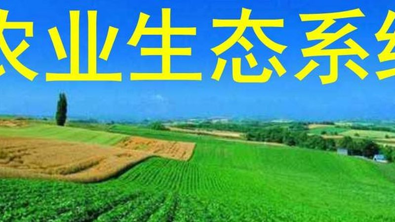 果蔬配送报价单excel模板