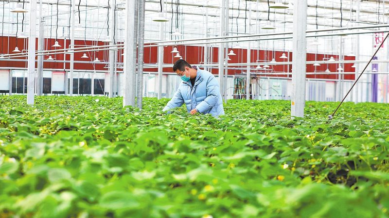 一份完整的食堂食材配送报价明细通常包括以下内容：