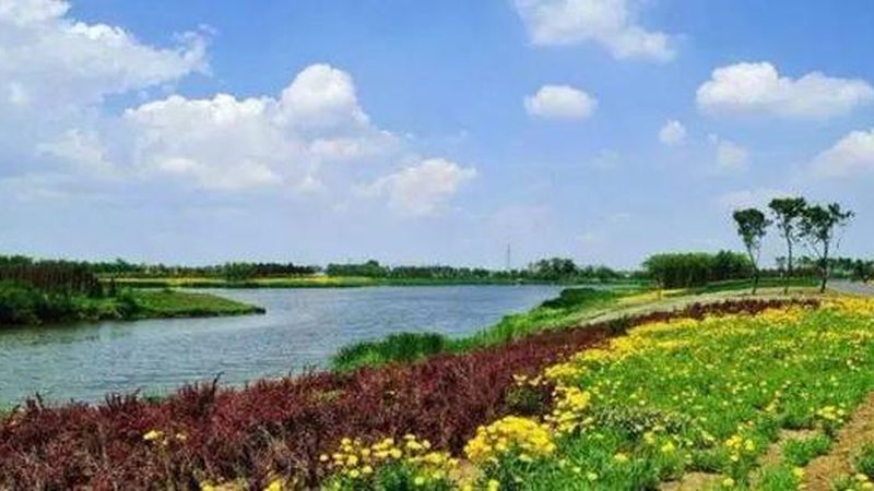采摘机器人：现代农业助力精准采摘
