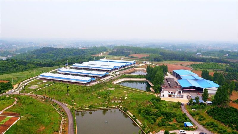 农民专业合作社注销流程全解析