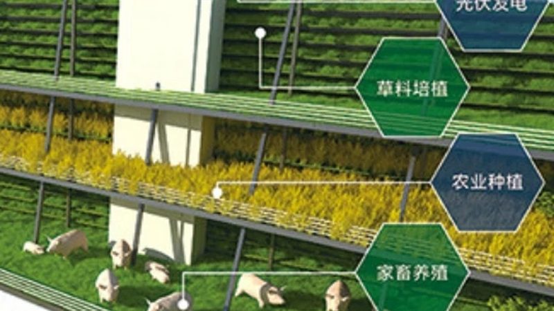 成都农资店装修设计公司
