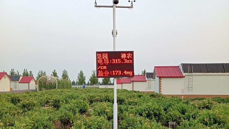 种植合作社的兴起与挑战：优势与不足分析