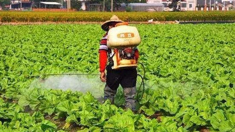 智能农业产业园灌溉管道，如何选对规格型号？**