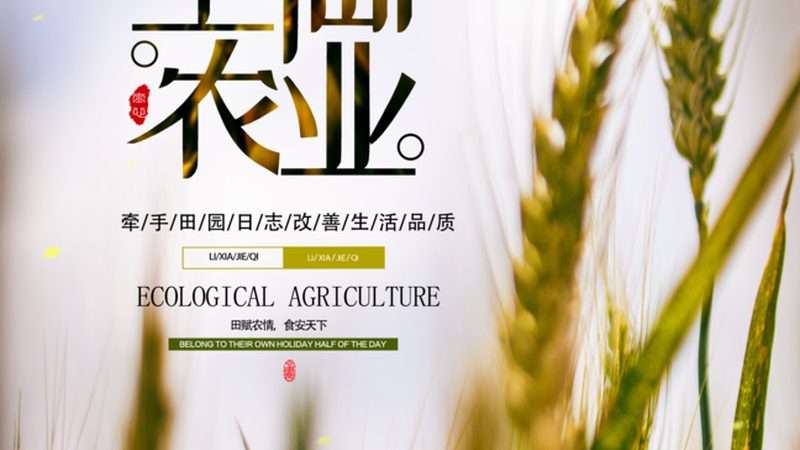 绿色食品认证续展，这些时间要求你必须知道**